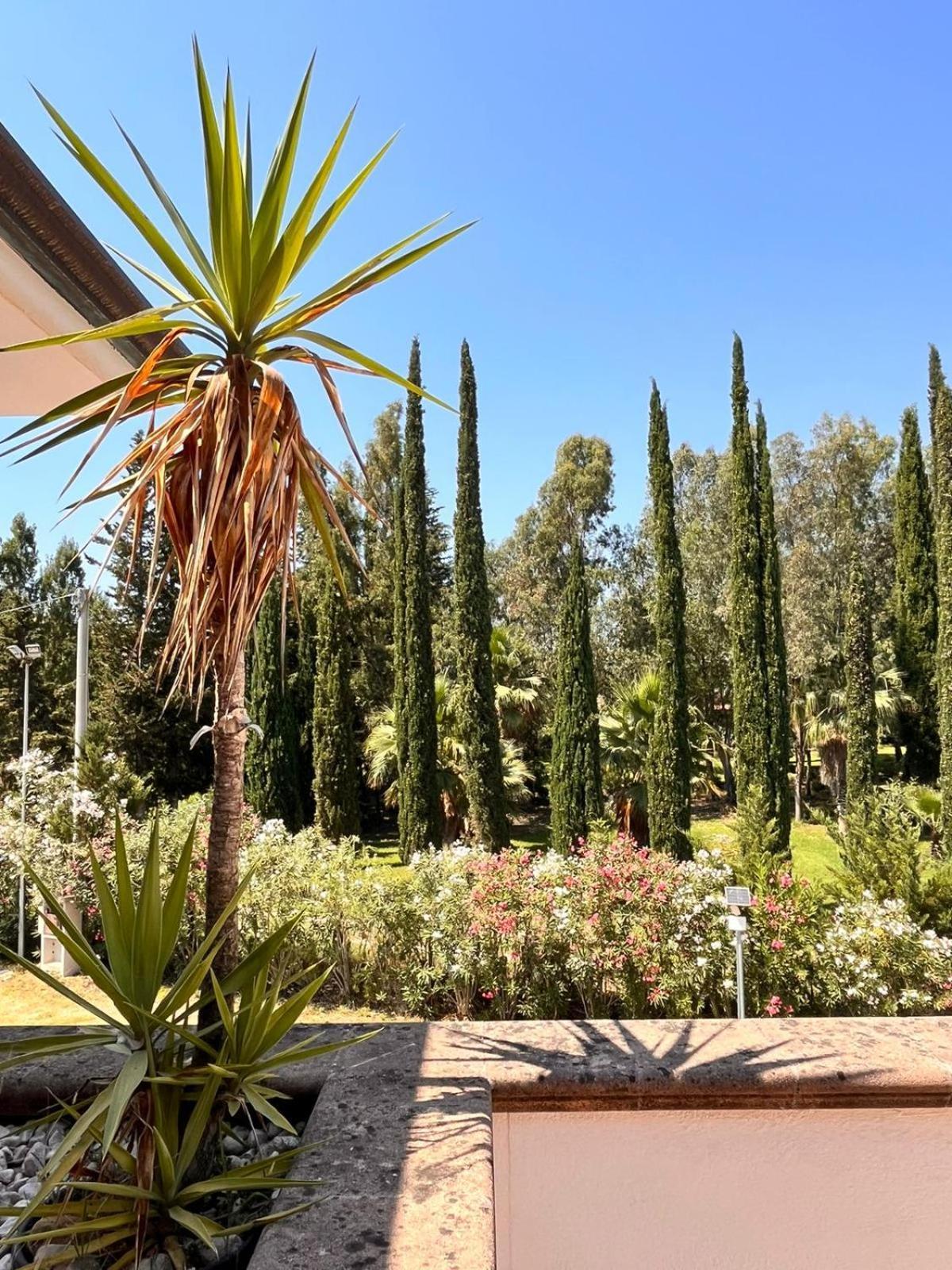 Villa Lia Cilento Капаччио-Паэстум Экстерьер фото