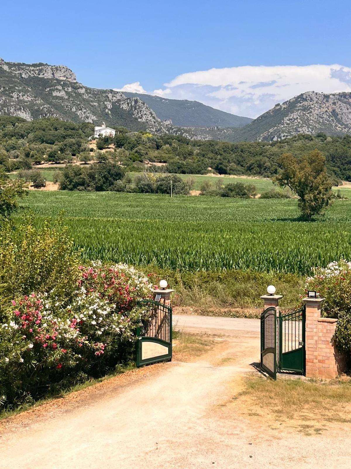Villa Lia Cilento Капаччио-Паэстум Экстерьер фото